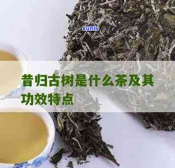 昔归茶是什么样的茶-昔归茶特点口感