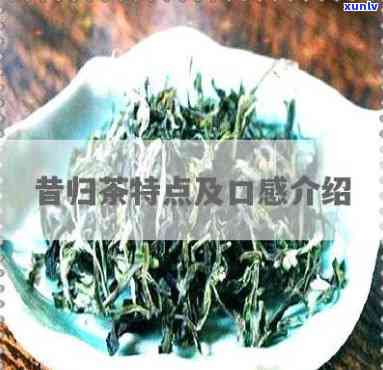 昔归茶是什么样的茶-昔归茶特点口感