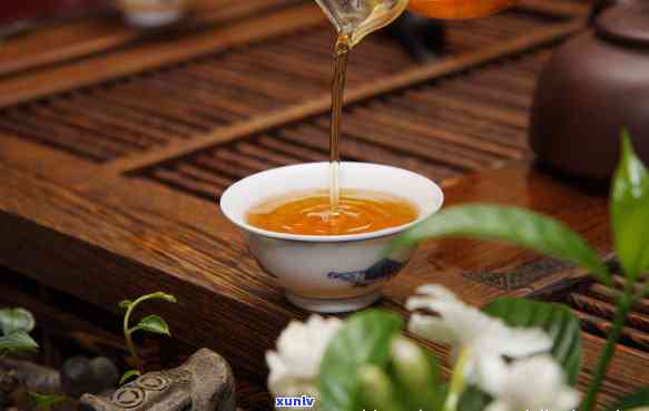 大益茶主要做什么茶类，大益茶：以什么茶类为主导？