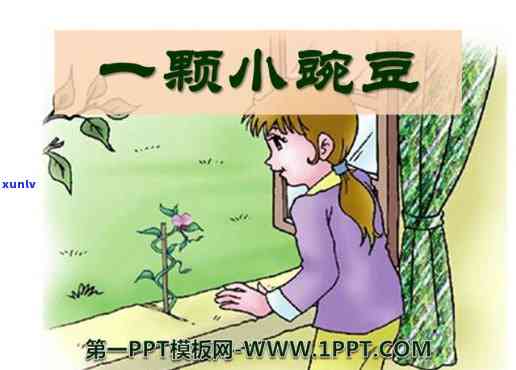 三个豆荚的故事：主要情节与简介