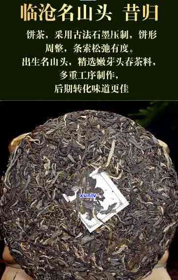 临沧昔归茶厂：云南优质茶叶，多少钱一斤？