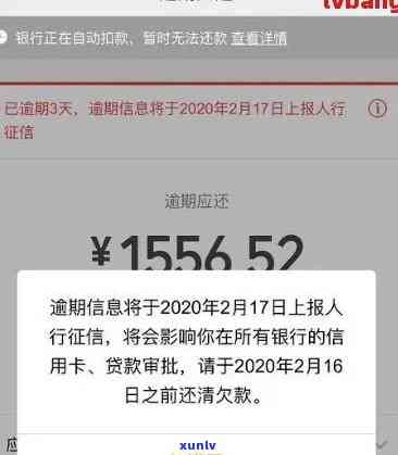 中国欠网贷逾期人数及金额：立案标准是多少？