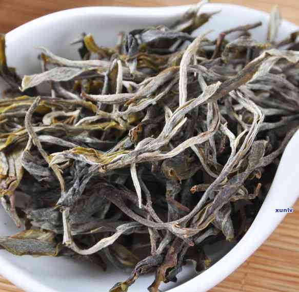 昔归木茶：生茶之选，品鉴其独特效果与魅力