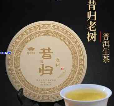 昔归木茶：生茶之选，品鉴其独特效果与魅力