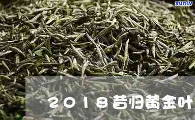 昔归黄金茶多少1斤-昔归黄金叶茶价格