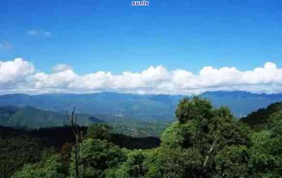 昔归山海拔有多少米，揭秘昔归山海拔高度，带你领略壮丽山景！