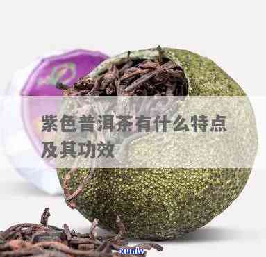 紫茶的功效与作用：探究普洱紫茶、普洱茶的健益处