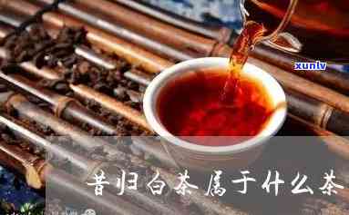 昔归茶为什么不显毫-昔归茶为什么那么贵