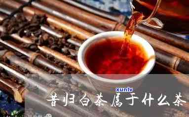 昔归茶的特征是什么-昔归茶的特点