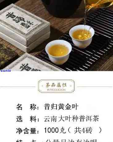 昔归黄金叶茶的功效-昔归黄金叶的口感特点