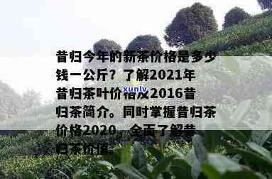 昔归今年新茶价格：一公斤多少钱？2021年昔归茶每斤价多少？一起了解2016昔归茶简介及价格。