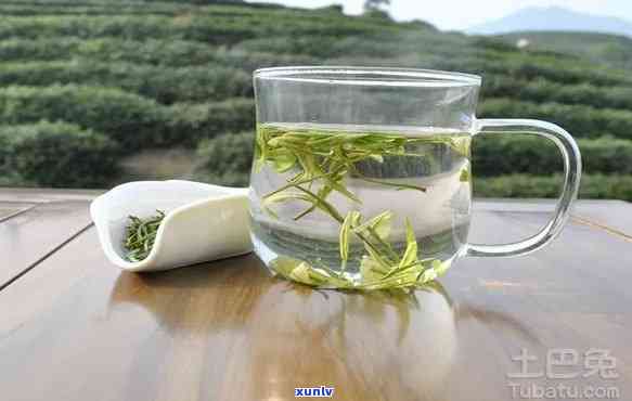 十大糯香茶排行榜最新，探秘茶界珍品：最新十大糯香茶排行榜揭晓！