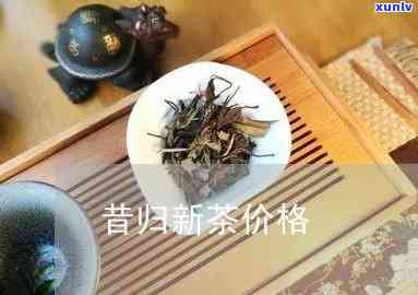 新茶好还是旧茶昔归茶好？全面解析比较