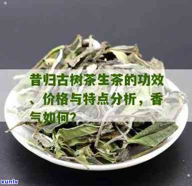 昔归木茶：生茶之选，功效解析