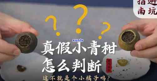 真假小青柑辨别 *** 视频，揭露真相：如何识别真假小青柑？看这里！