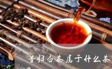 昔归茶的特点和作用-昔归茶的特点与功效