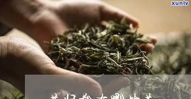 昔归茶的特征和功效-昔归茶的特点与功效