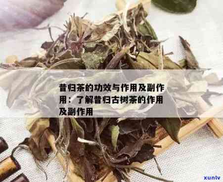 昔归茶的功效和禁忌-昔归茶的功效与作用