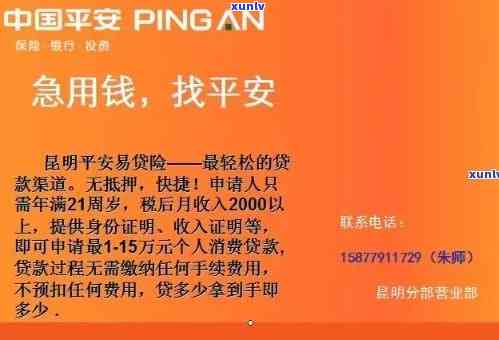 平安逾期两天忘了，险些酿成大错：平安逾期两天忘记还款，教训深刻！