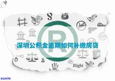 深圳公积金逾期1天怎么补交，怎样解决深圳公积金逾期一天的疑问？补交指南