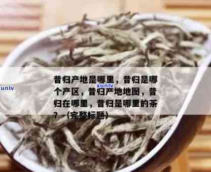 昔归单株是哪里的茶-昔归单株是什么茶