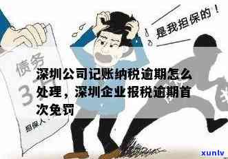 深圳企业报税逾期首次免罚政策：详细解读与操作指南