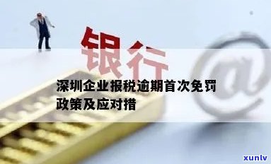 深圳企业报税逾期首次免罚政策：详细解读与操作指南