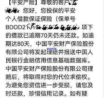 在平安普贷款逾期：全款还款还是止合同？一天逾期会对后续贷款有作用吗？