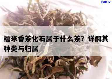 茶化石属于什么茶类类型？详解其所属茶种与分类