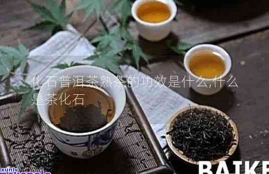 茶化石属于什么茶类类型？详解其所属茶种与分类