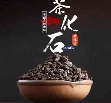 茶化石属于什么茶？它有何作用与功效？