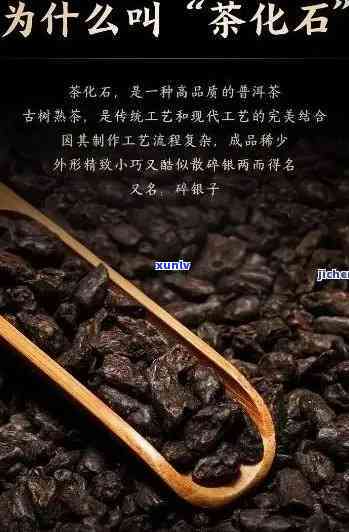 茶化石是什么，探秘茶化石：一种独特的茶叶品种