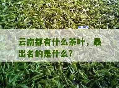 云南的什么茶出名，探寻云南茗茶：揭秘当地知名茶叶品种