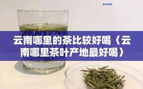 云南什么茶好喝便宜-云南什么茶好喝便宜又好喝