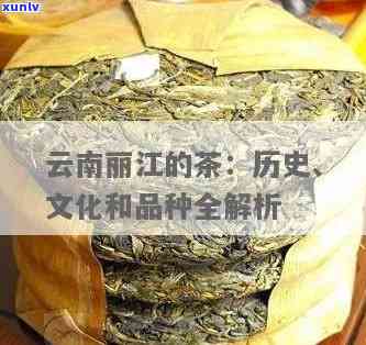 丽江产哪些茶叶？