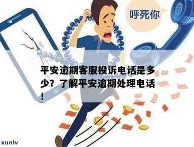 普洱碎银子是什么茶类及价格如何，评价怎样？