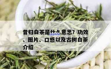 昔归茶的寓意是什么意思啊，探秘昔归茶的寓意：一种深深的文化内涵