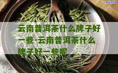 云南什么茶好喝一点-云南什么茶好喝一点的