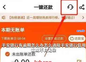 平安银行卡逾期未还，如何查看还款记录？