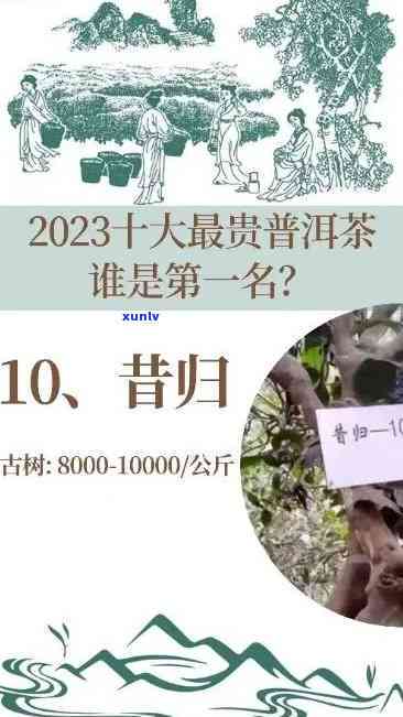 昔归茶价格变动：2020年至2023年的趋势分析