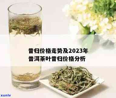 昔归茶价格变动：2020年至2023年的趋势分析