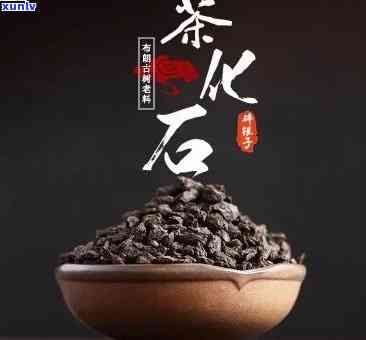 茶化石是属于什么茶，探秘茶化石：它属于哪一类茶叶？