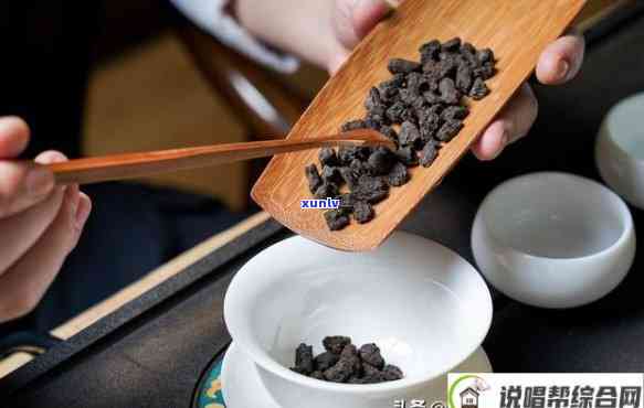 茶化石是属于什么茶，探秘茶化石：它属于哪一类茶叶？