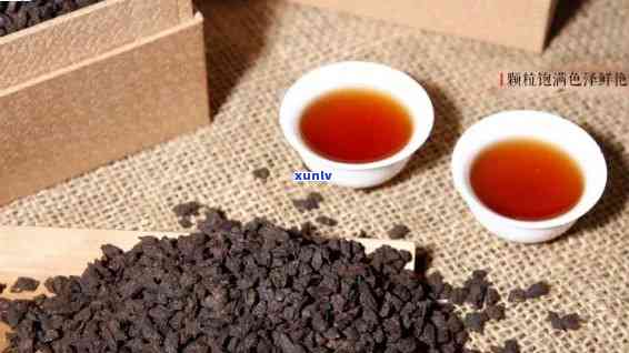 茶化石是什么，探秘茶化石：一种独特的茶叶品种及其特点介绍