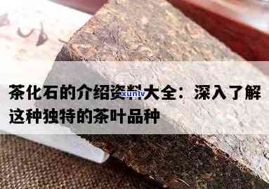 茶化石是什么，探秘茶化石：一种独特的茶叶品种及其特点介绍