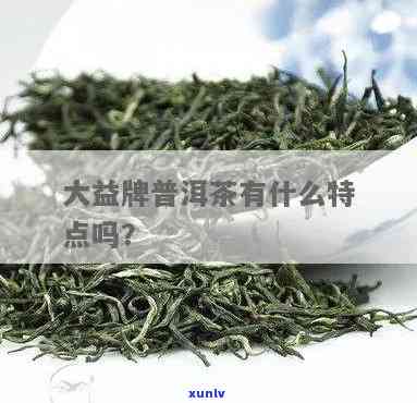 探索大益雀系列茶叶：特点与魅力