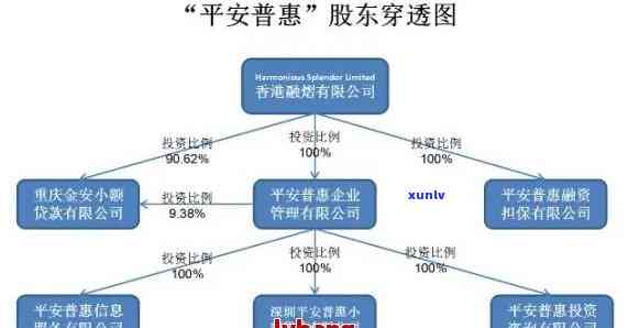 被平安普起诉了，平安普对您提起诉讼，需要熟悉详情