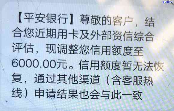 冰岛龙珠茶一斤价格-冰岛龙珠茶一斤价格多少