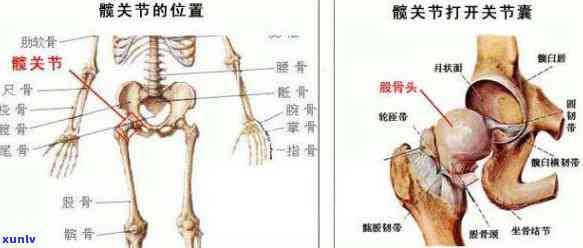 平安氧气贷逾期代偿-平安氧气贷逾期代偿怎么办