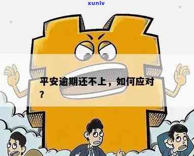 平安信用贷款逾期还不上的解决办法及结果分析